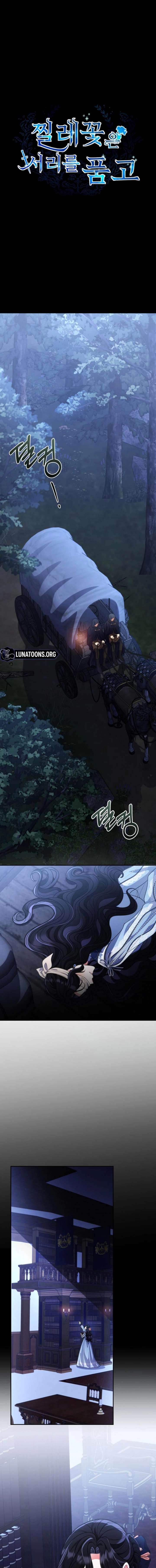 The Wild Rose Embraces the Frost Chapter 33 - Page 1