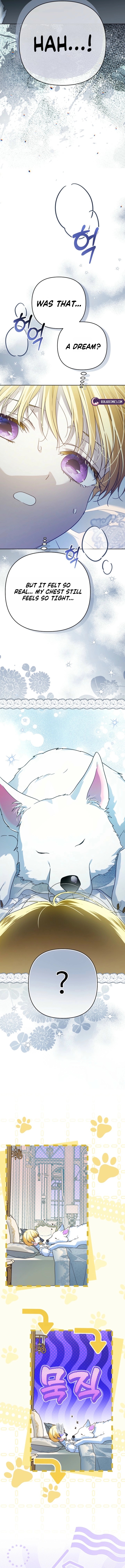 Travesti: I Became the Fake Prince Chapter 11 - Page 9