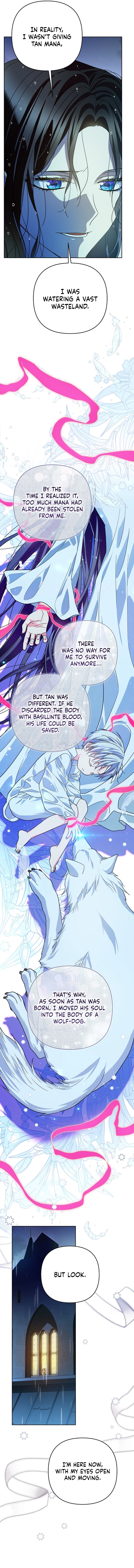 Travesti: I Became the Fake Prince Chapter 29 - Page 5