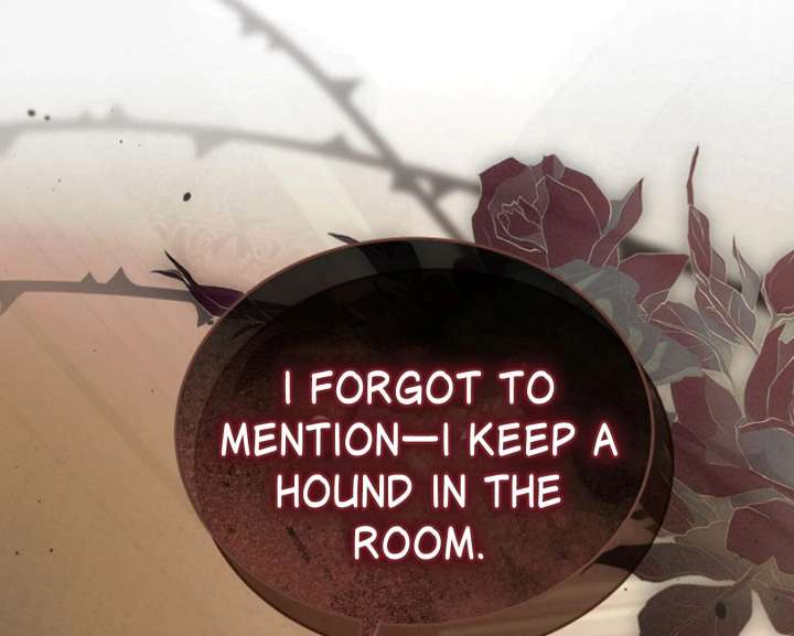 Try Begging Me Chapter 61 - Page 205