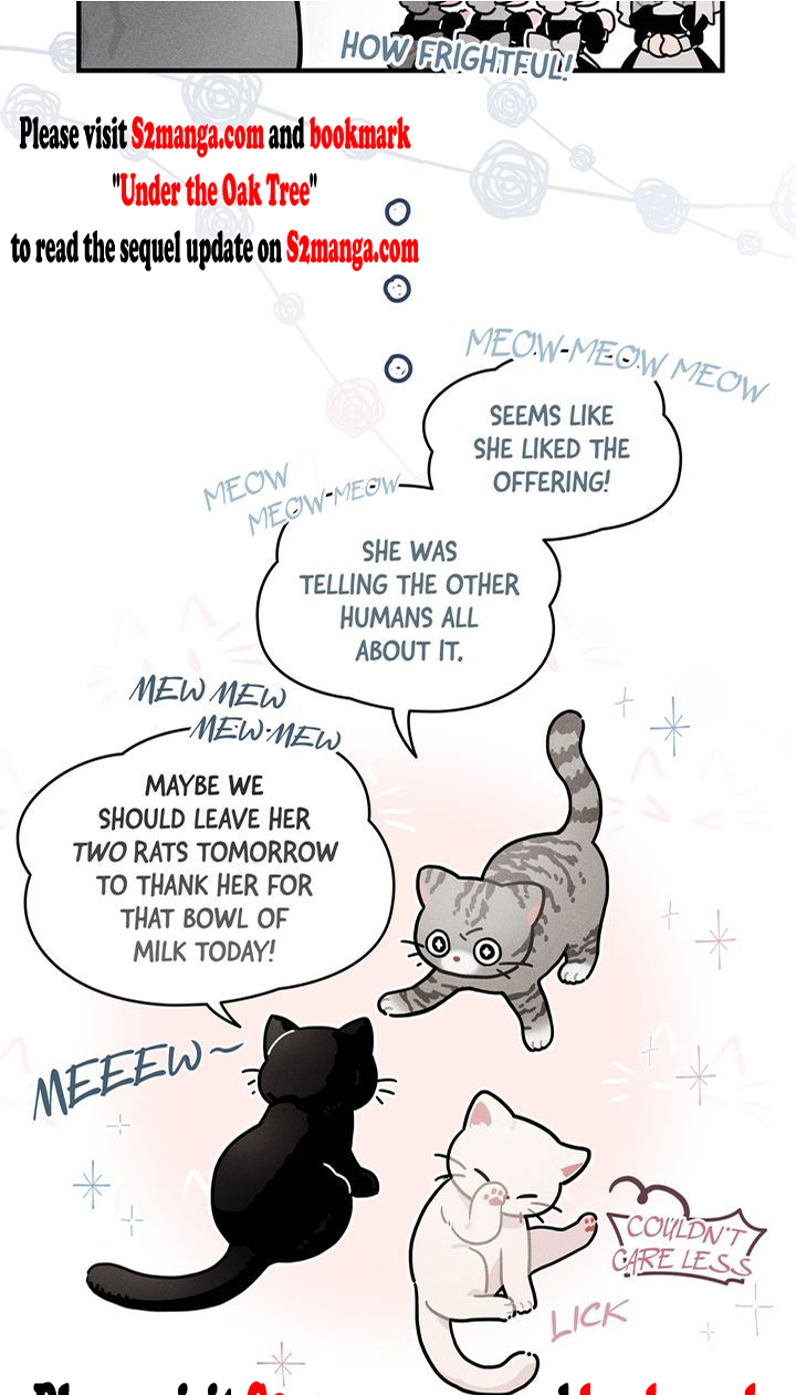 Under the Oak Tree Chapter 70 - Page 3